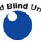 World Blind Union logo